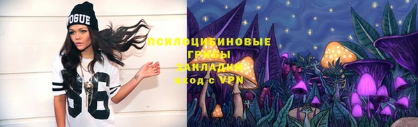 спиды Ахтубинск