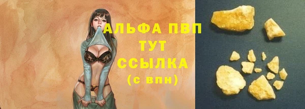 спиды Ахтубинск