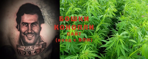 шишки Кулебаки